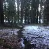 Fionn Ó Conchúir